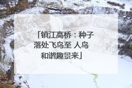 镇江高桥：种子落处飞鸟至 人鸟和谐趣景来